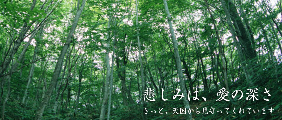 メインイメージ１