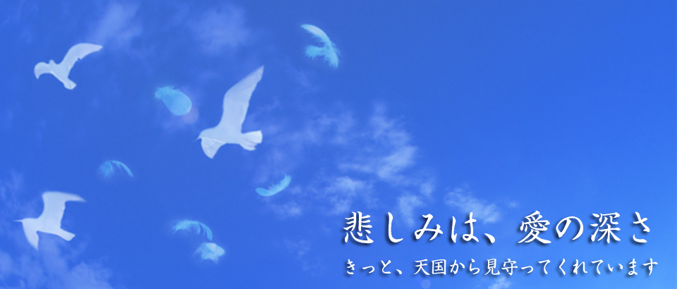 メインイメージ２